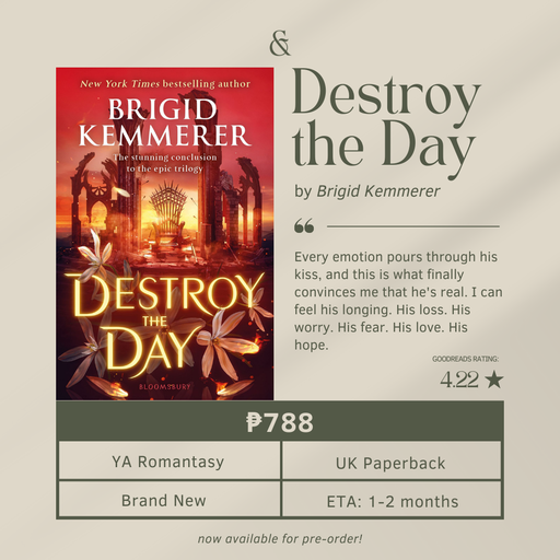 Destroy the Day by Brigid Kemmerer (Paperback)